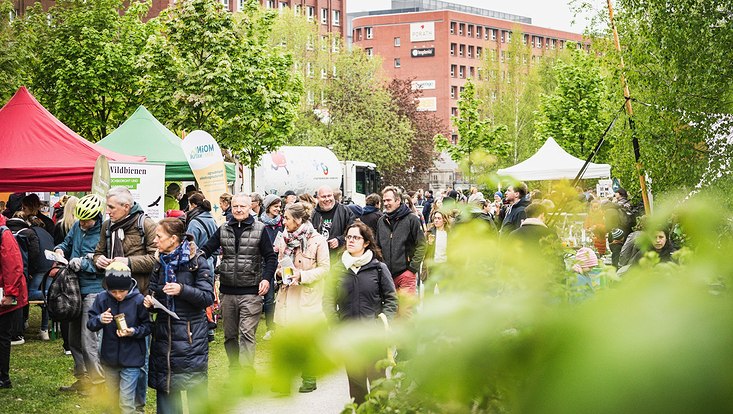 Festivalgelände beim Park am Hochwasserbassin