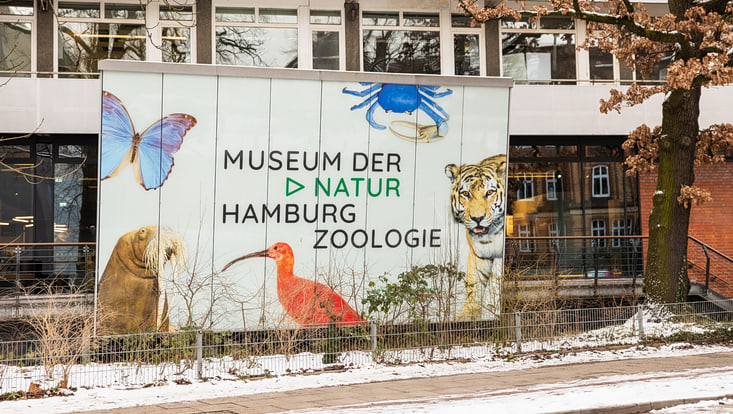 Frontansicht des Museum der Natur Hamburg