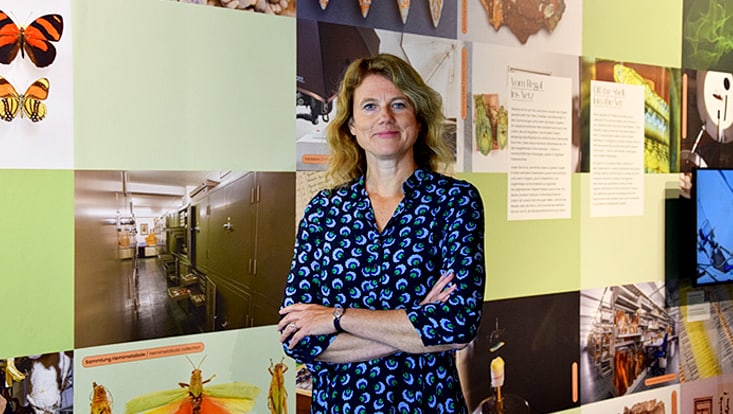 Prof. Dr. Simone Rödder