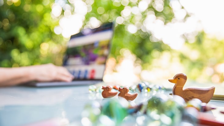 Foto: Laptop und Spielenten