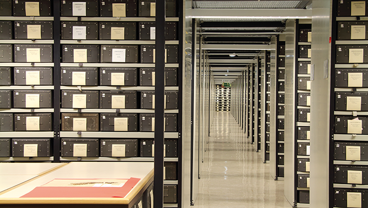 herbarium-3-733x414 View of the stacks in the herbarium