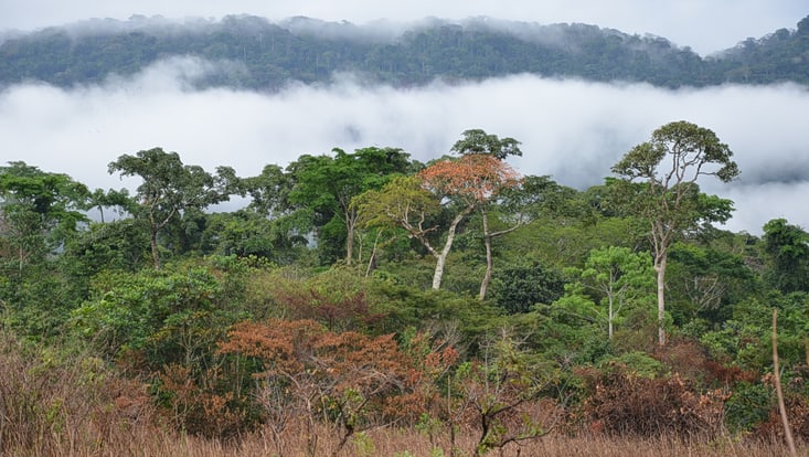 View of the Serra do Pingano