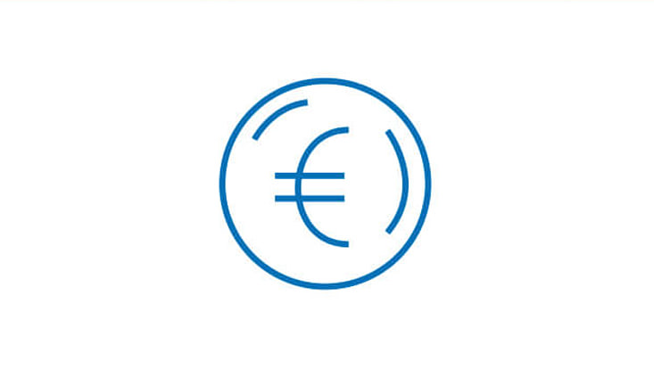 Icon Euro
