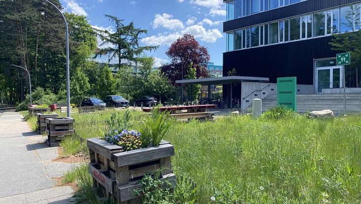 Blumenkästen vor einer Wiese, im Hintergrund ein Gebäude
