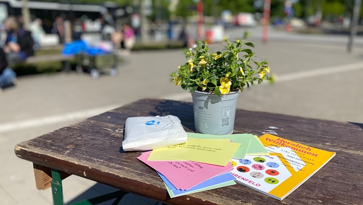 Pflanze und beschriftete, bunte Karten auf einem Biertisch