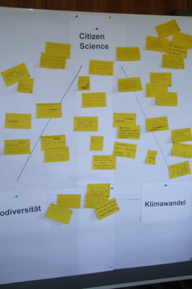 02-06-vernetzung-dialogforen-slider-20230608-df2-norderstedt-21-414 Gelbe Moderationskarten an einer weißen Pinnwand sind angeordnet im Dreieck zwischen Citizen Science, Klimawandel und Biodiversität
