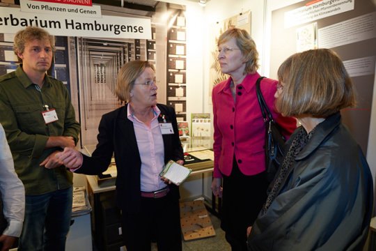 Herbarium Hamburgense Herbarium Hamburgense