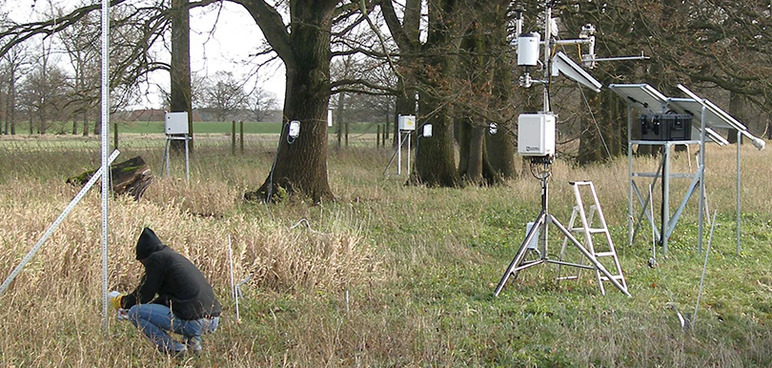 Installation of a measuring system to analyze water economy in plants