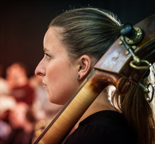 Cellistin