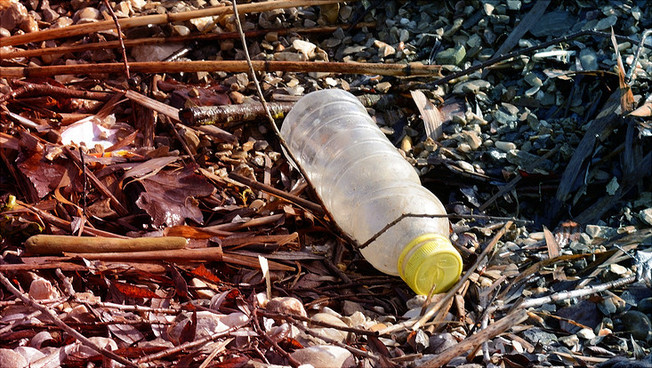 A plastic bottle on a beach