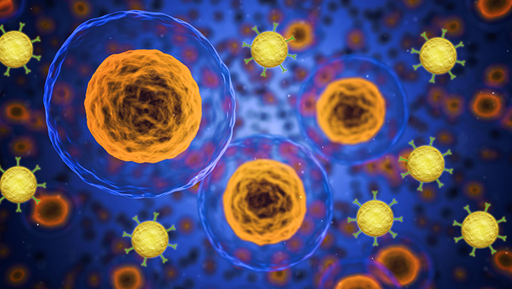 Menschlichen Zellen mit Gold-Nanopartikeln
