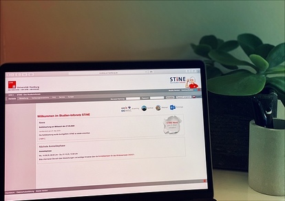 Abbildung einer Online Anmeldung