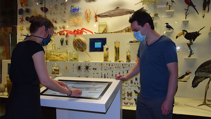 Biodiversitätsvitrine