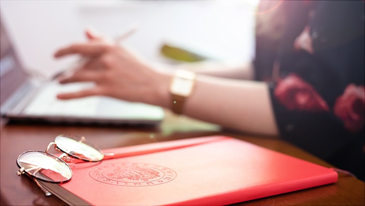 Homeoffice-Konferenz