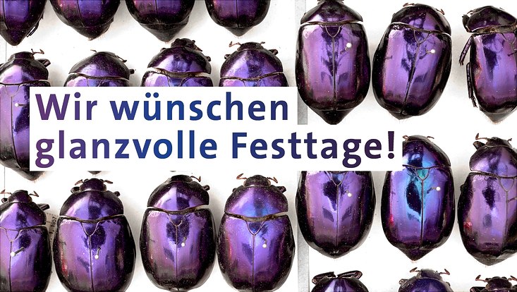 Motiv des Weihnachtsgrußes