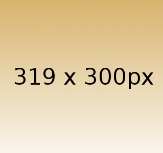 319x300-2 Beispielgrafik 319x300px