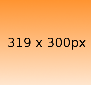 319x300-3 Beispielgrafik 319x300px
