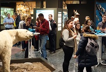 Reise nach Brasilien