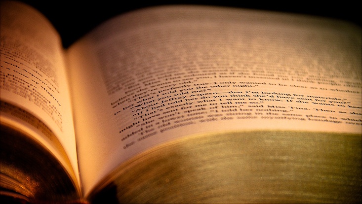 Buch