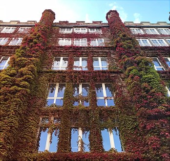 181003-herbstfarben-an-dem-alten-postgebaude-moller-12mp-5-348x329 Das alte Postgebäude