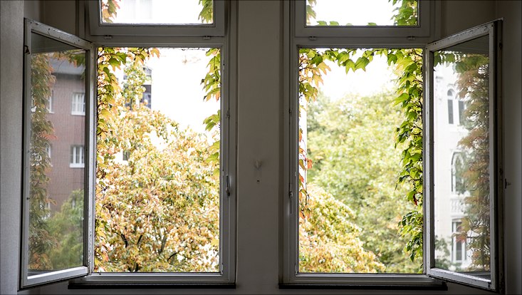 Der Blick aus einem geöffneten Fenster der Universität in herbstliches Wetter.