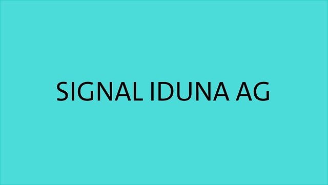 Schrift: SIGNAL IDUNA AG
