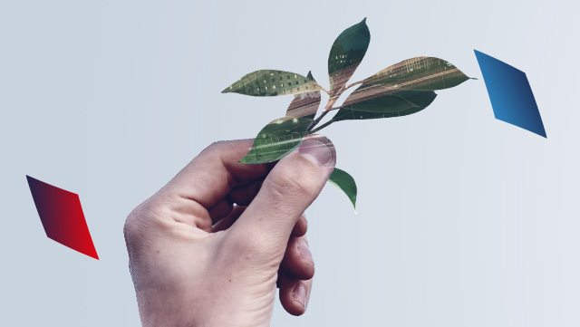 In the center of the picture there is a hand, it holds a small branch with fresh leaves. To the left and right of the image are more squares, a red one on the left and a blue one on the right.