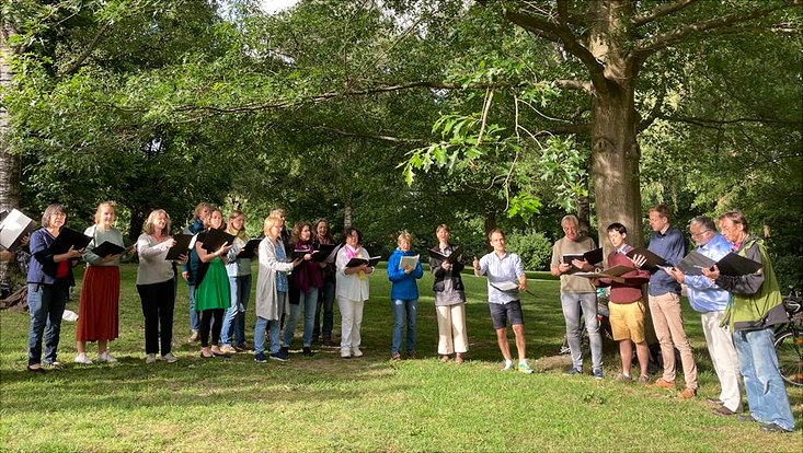 Der Alumni-Chor singt draußen auf einer Wiese bei gutem Wetter.