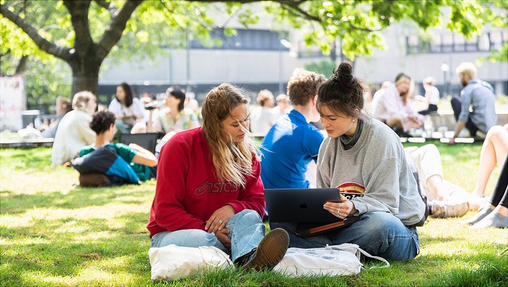 Zwei junge Frauen sitzen mit einem Laptop auf der Wiese