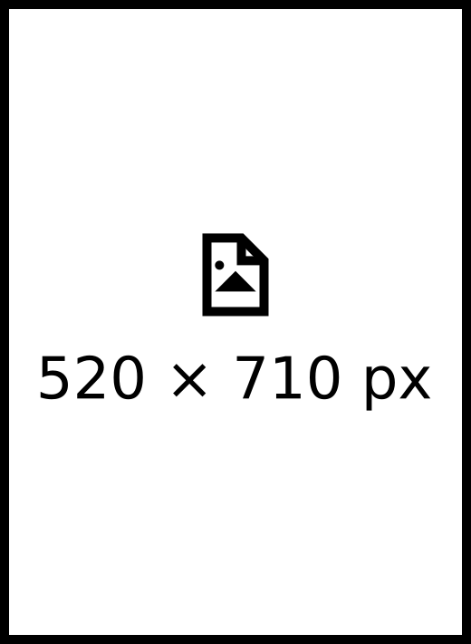 Beispielbild mit der Auflösung 520x710 Pixel.