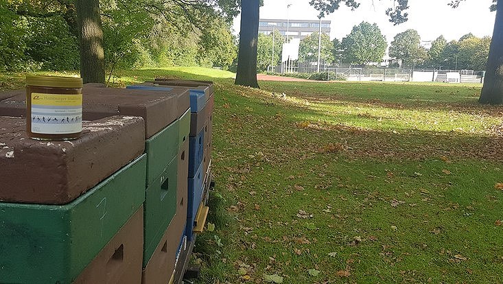 honig im sportpark