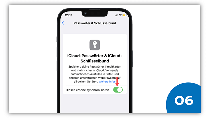 slides-ios-733x414-vorbereitung-7 Slide 6: iPhone Screenshot von iCloud-Passwörter & iCloud-Schlüsselbund mit Pfeil auf „dieses iPhone synchronisieren“