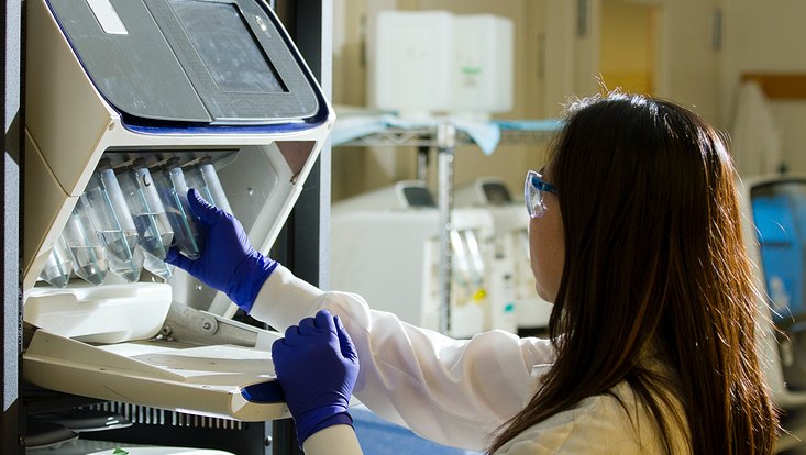 Studierende im Labor