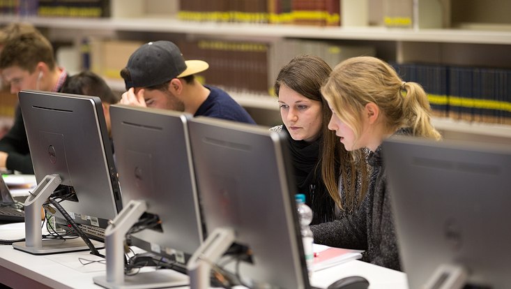 Studierende an Computerarbeitsplätzen