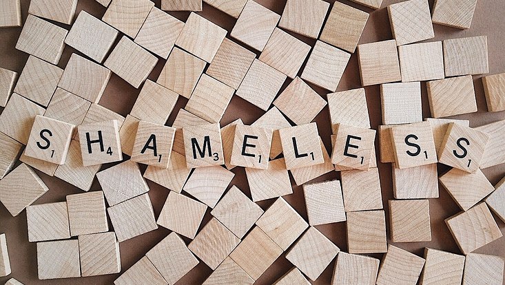 Holzklötze mit dem Schriftzug "Shameless"