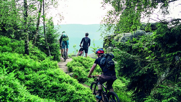 3 Moutainbiker am Waldrand vor einem Tal