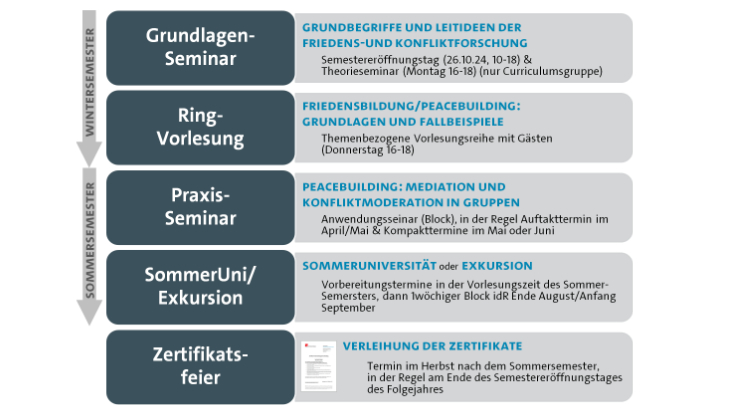 friedensbildung-curriculum-733x414 Das Diagramm zeigt den Ablauf des Curriculums.