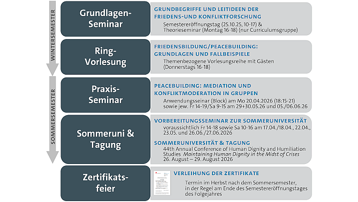 Das Bild zeigt den gegenwärtigen Aufbau des Curriculums