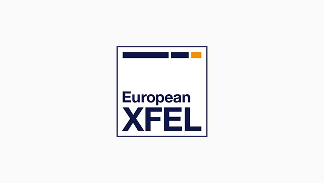Das Logo von European XFEL