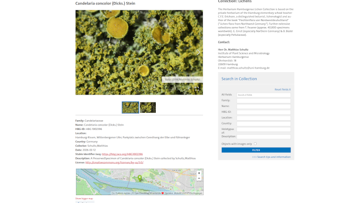 Lichen collection example page