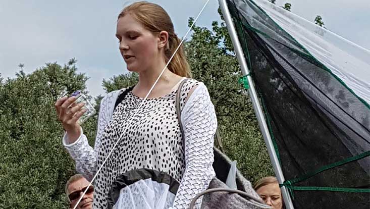 8a-733x414-bettinas-foto-nesssand Aktionswochenende