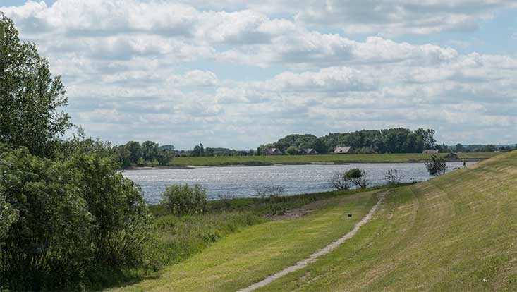 18-733x414-tideelbe Aktionswochenende