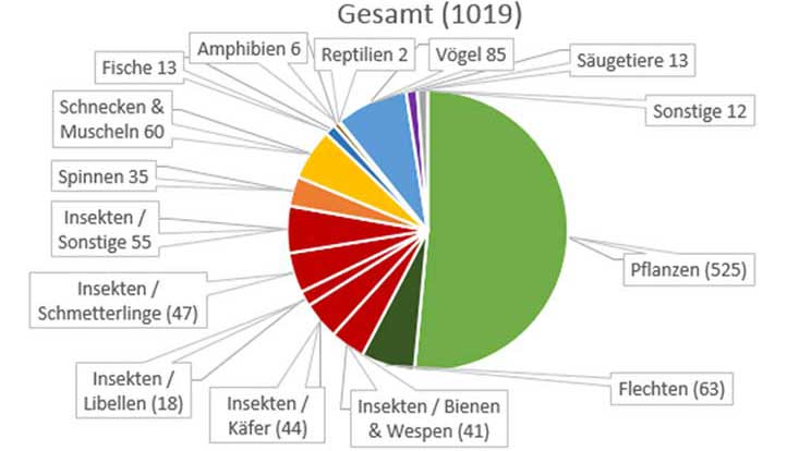 21-733x414-grafik Aktionswochenende
