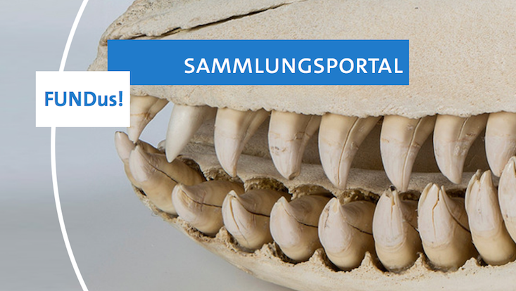FUNDus! Sammlungsportal