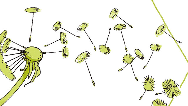 Illustration Pusteblume verteilt Pollen