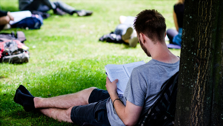 Student liest unter Baum