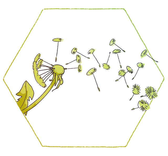 Pusteblume Illustration