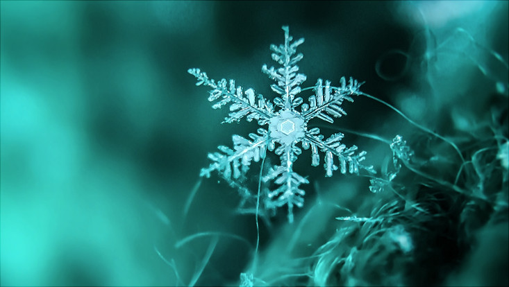 Foto einer Eisblume