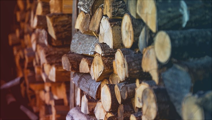 Ein Stapel gehacktes Holz ist zu sehen.