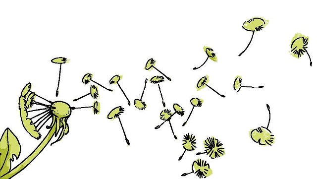 pusteblume-charlotte-hintzmann640x361 Illustration einer Pusteblume